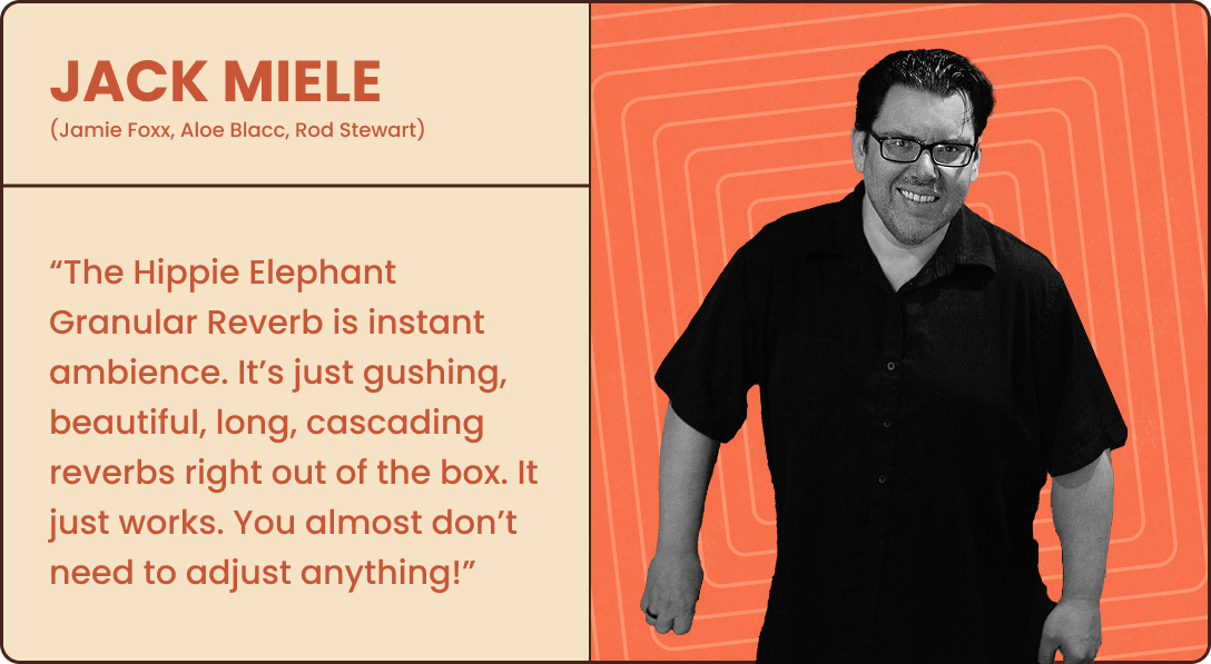 Hippie Elephant - Granular Reverb