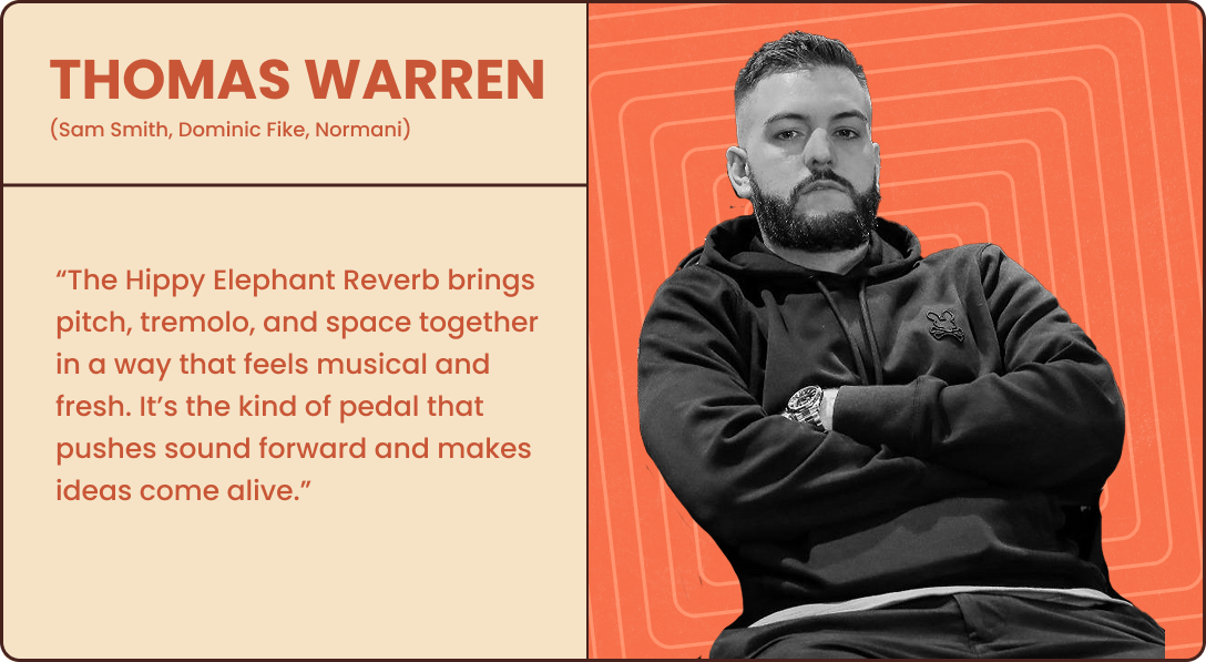 Hippie Elephant - Granular Reverb