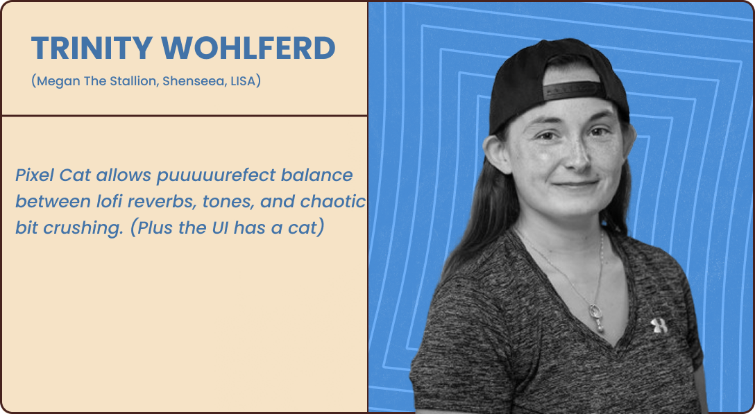 Pixel Cat - BitCrusher