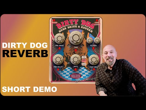 Dirty Dog reverb & overdrive plugin by Joe Chiccarelli | Safari Pedals