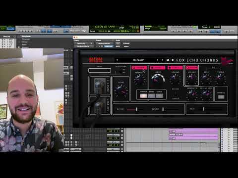 Classic soundwaves with Fox Echo Chorus | Audio Plugin | Safari Pedals
