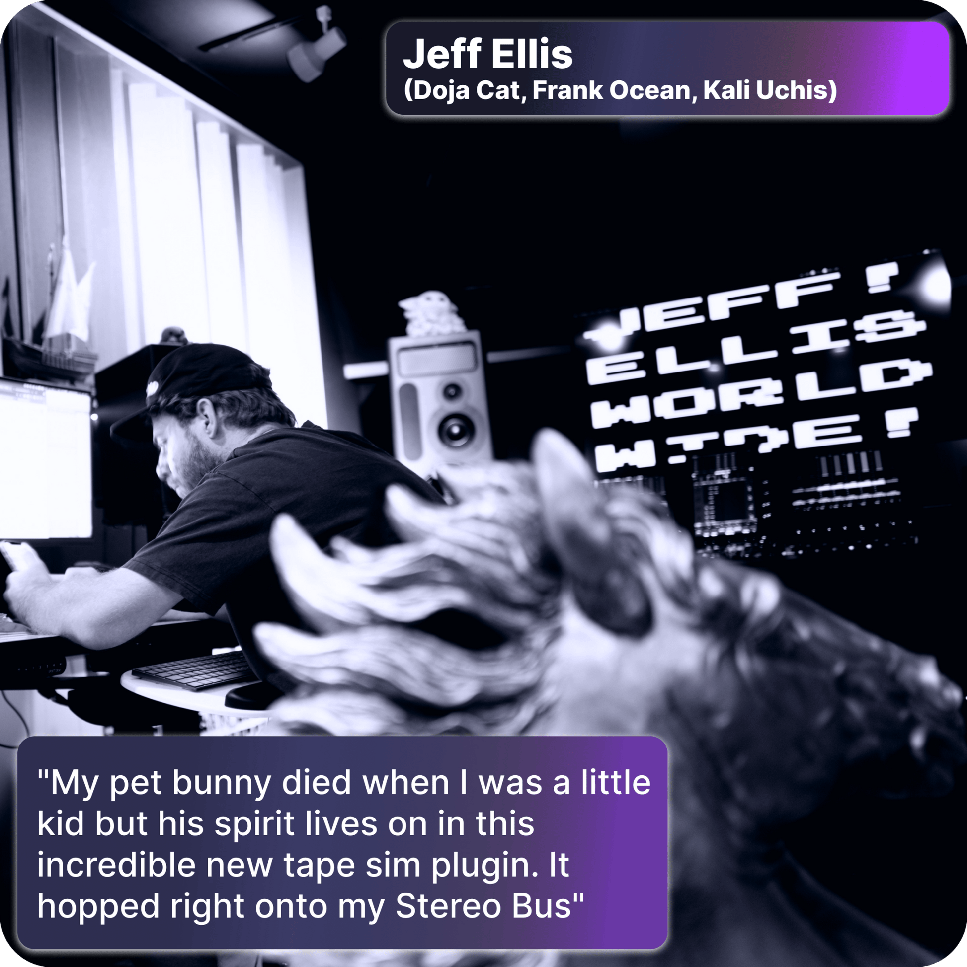 Rabbit Tape Jungle Warmth Tape Distortion - Main Image