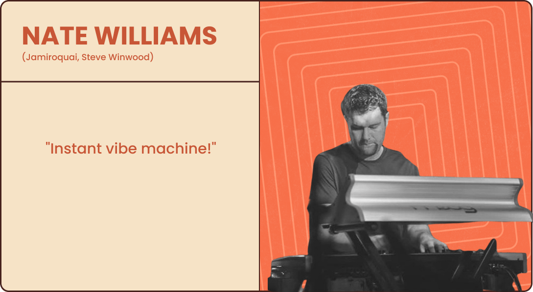 Standard Audio Level - Or - Safari Pedals